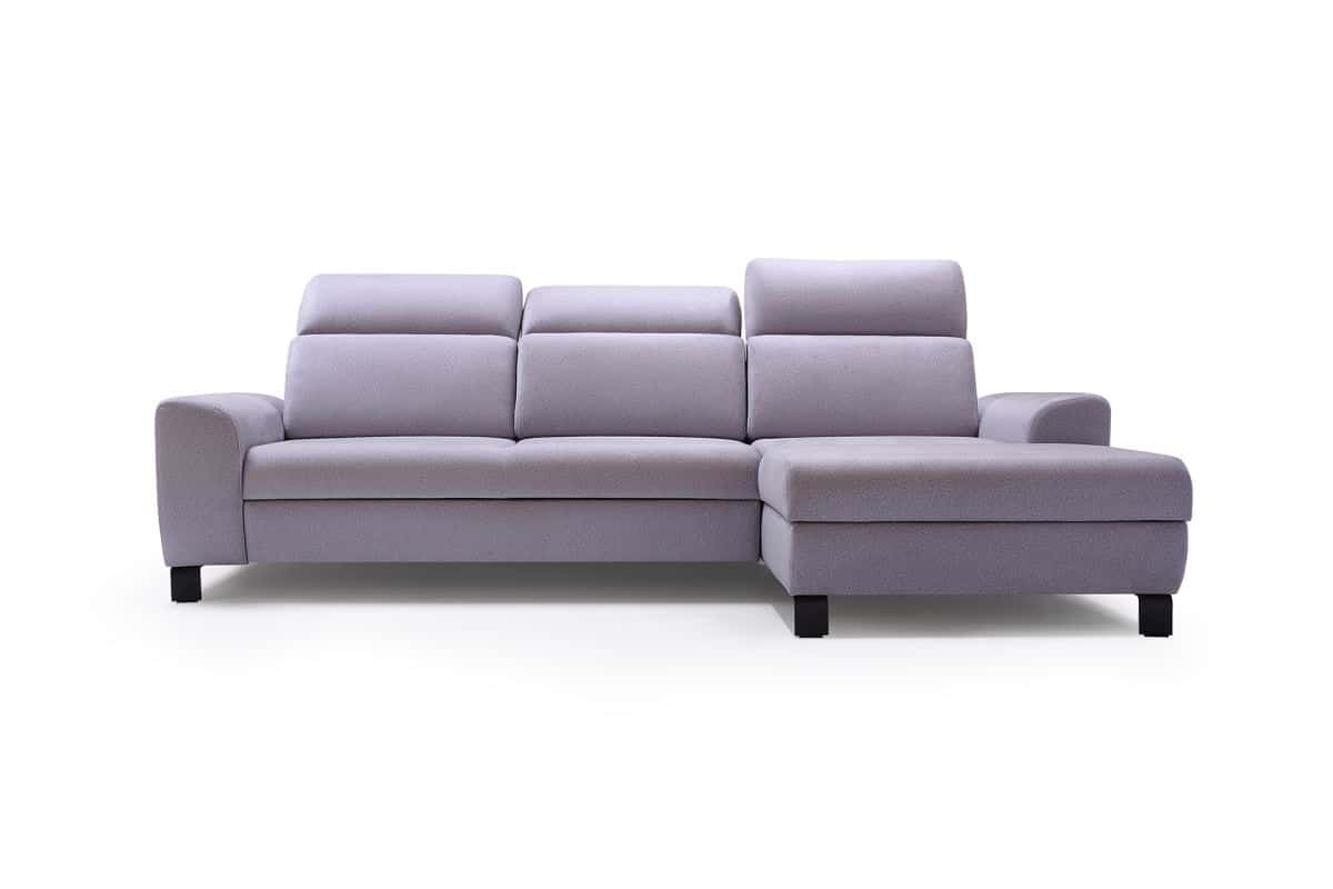 ELENA - z frontu (web)